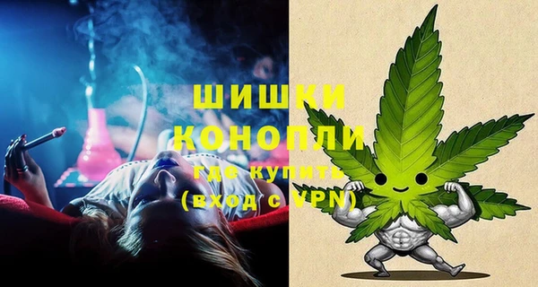 mdpv Богородицк