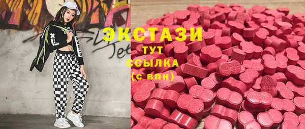 mdpv Богородицк